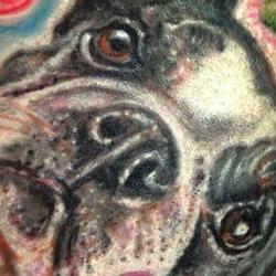 Tattoos - Boston terrier tattoo with flowers - 79189